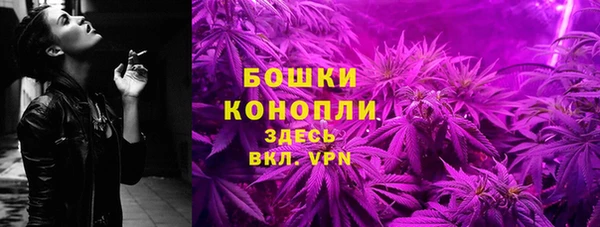 прущий лед Бородино