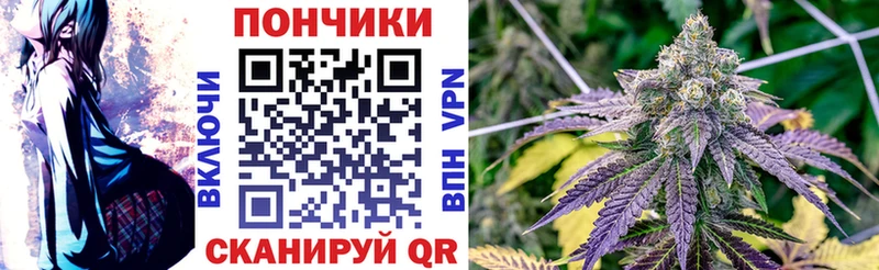 Шишки марихуана THC 21%  что такое   Высоцк 